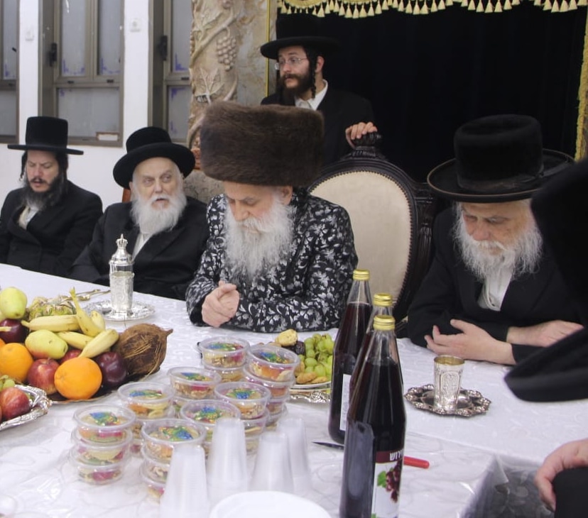 גלריה: האדמו"ר מבוטשאן בעריכת שולחנו לרגל ט"ו בשבט