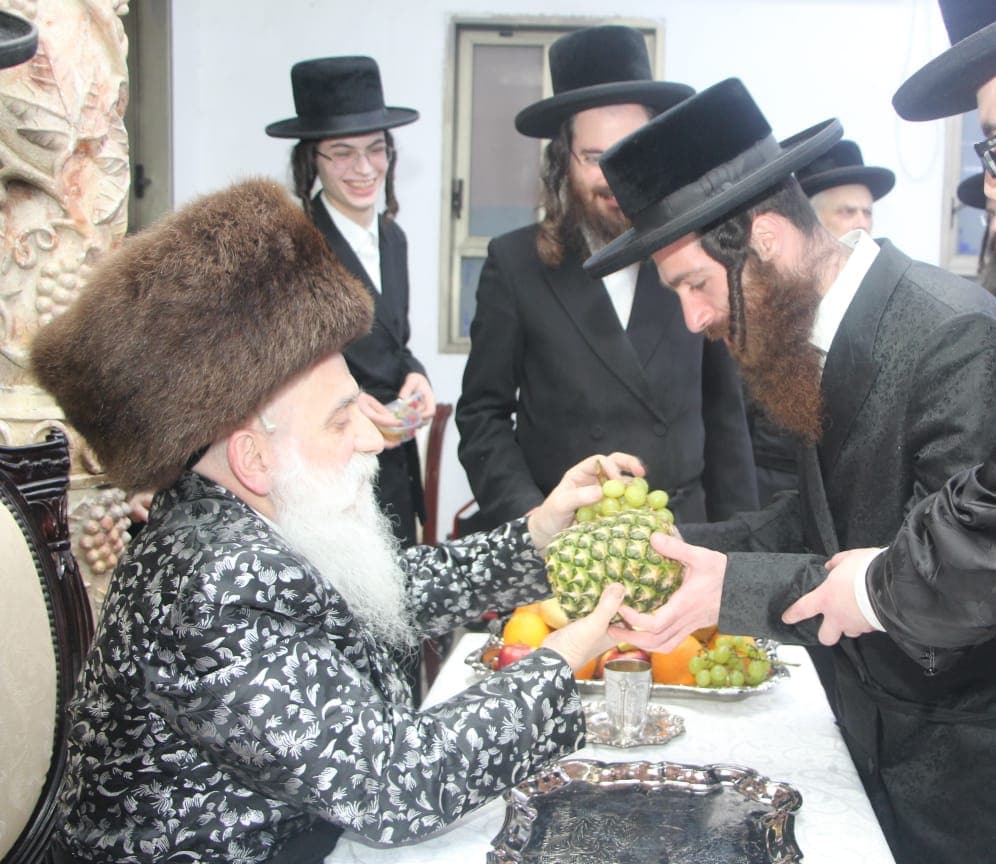 גלריה: האדמו"ר מבוטשאן בעריכת שולחנו לרגל ט"ו בשבט