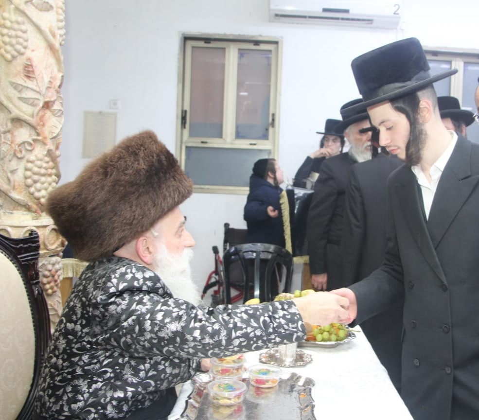 גלריה: האדמו"ר מבוטשאן בעריכת שולחנו לרגל ט"ו בשבט