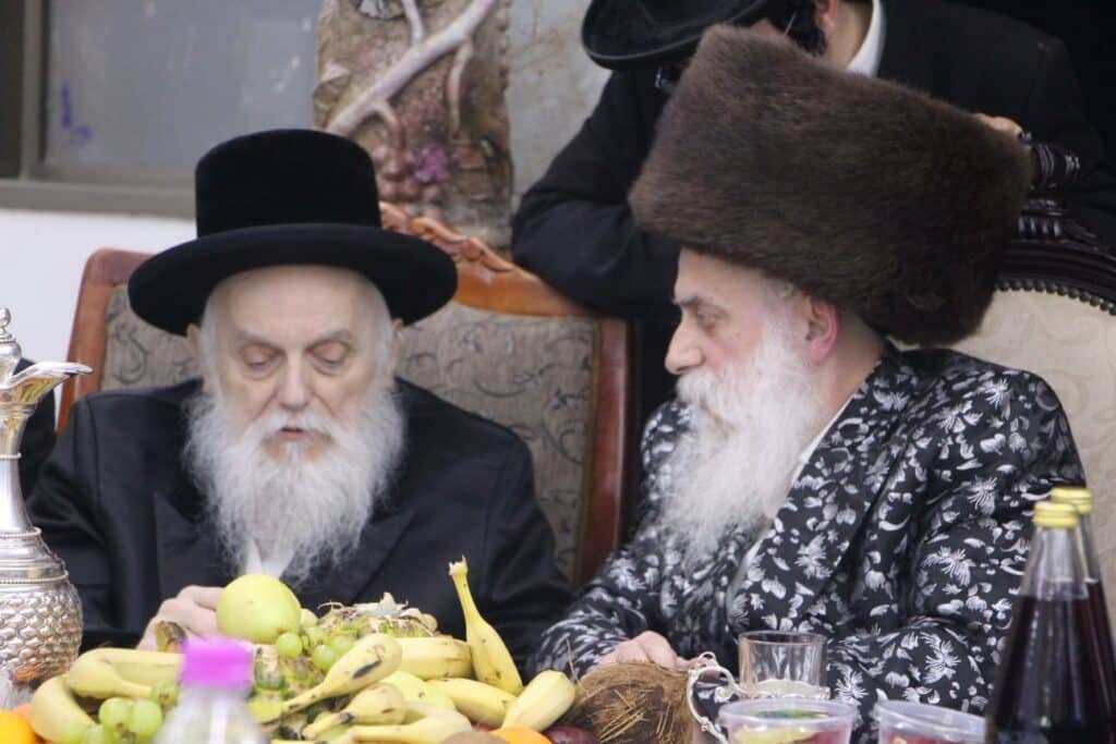 גלריה: האדמו"ר מבוטשאן בעריכת שולחנו לרגל ט"ו בשבט