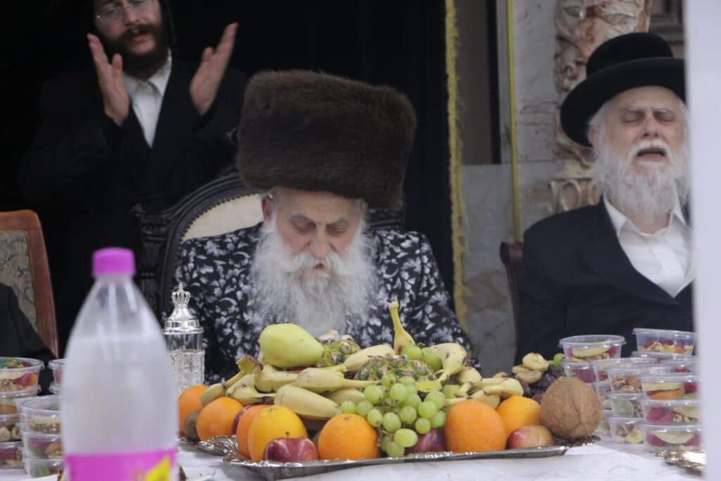 גלריה: האדמו"ר מבוטשאן בעריכת שולחנו לרגל ט"ו בשבט