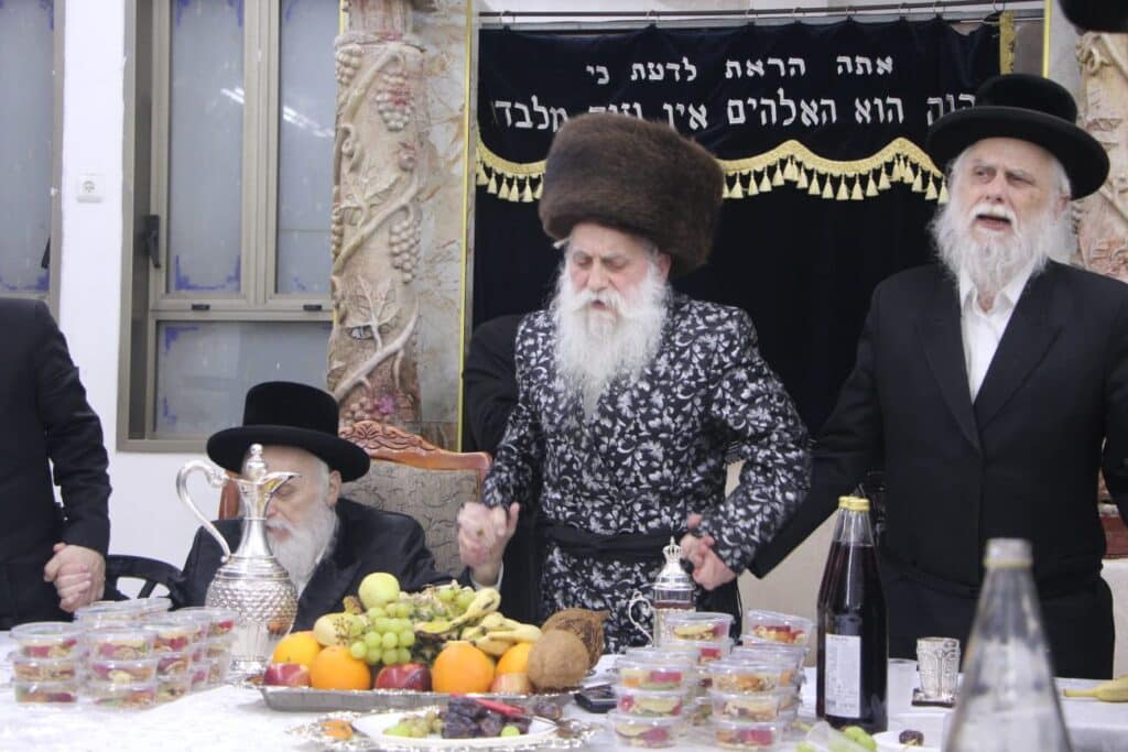 גלריה: האדמו"ר מבוטשאן בעריכת שולחנו לרגל ט"ו בשבט