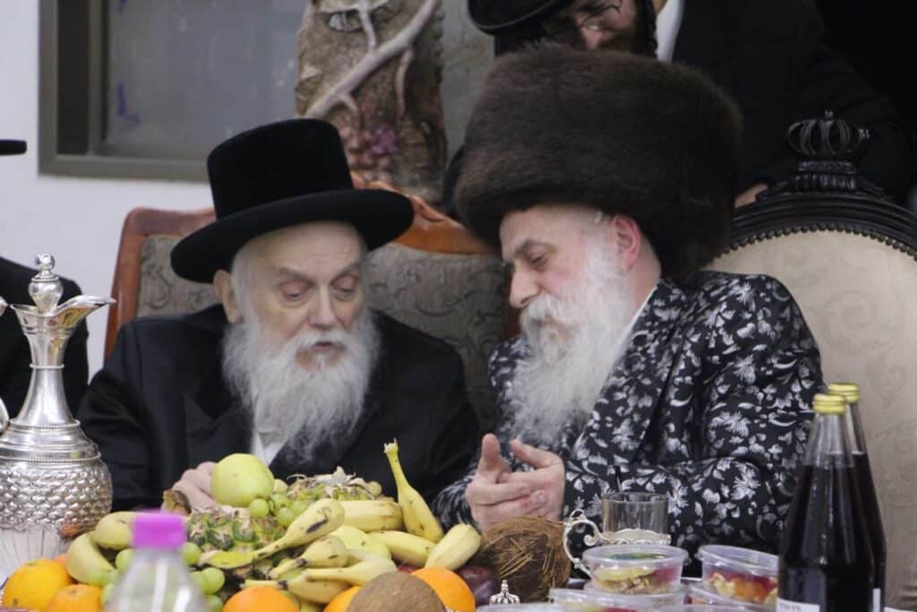 גלריה: האדמו"ר מבוטשאן בעריכת שולחנו לרגל ט"ו בשבט