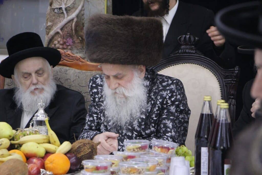 גלריה: האדמו"ר מבוטשאן בעריכת שולחנו לרגל ט"ו בשבט