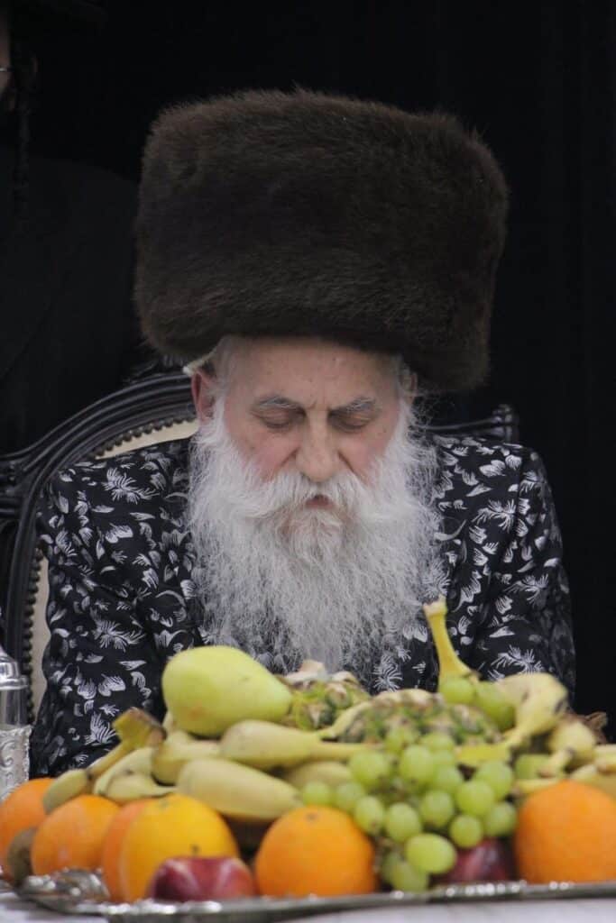גלריה: האדמו"ר מבוטשאן בעריכת שולחנו לרגל ט"ו בשבט