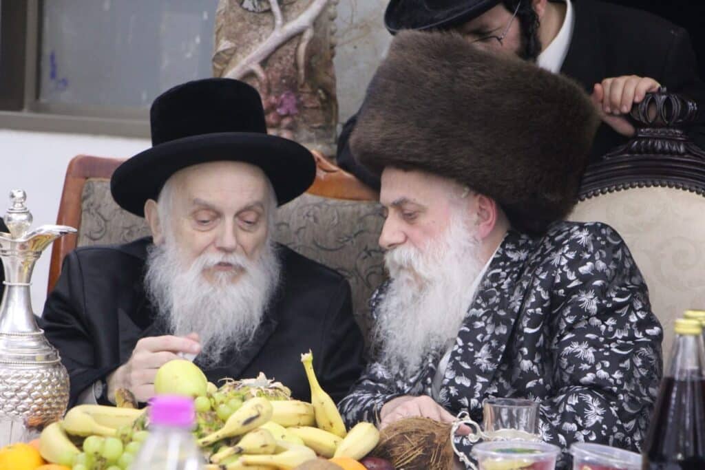 גלריה: האדמו"ר מבוטשאן בעריכת שולחנו לרגל ט"ו בשבט