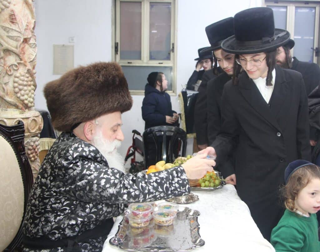 גלריה: האדמו"ר מבוטשאן בעריכת שולחנו לרגל ט"ו בשבט