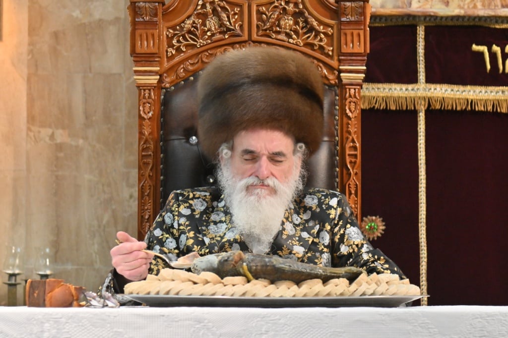 גלריה: מסע הבזק של הרבי מויז'ניץ לאנטוורפן