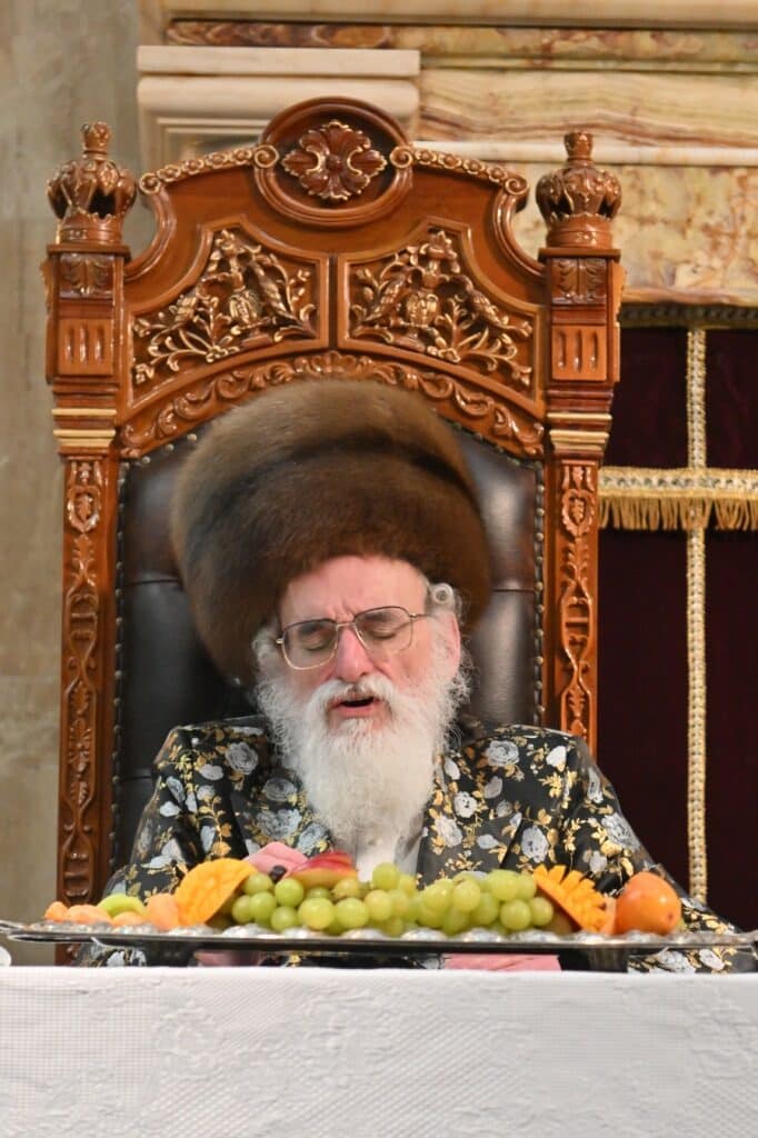 גלריה: מסע הבזק של הרבי מויז'ניץ לאנטוורפן