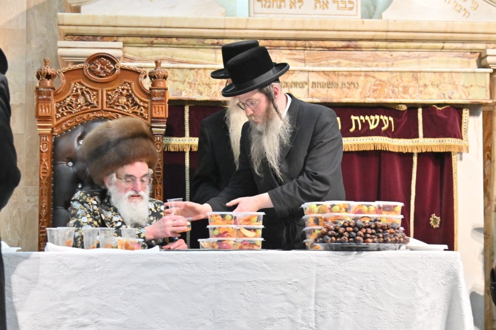 גלריה: מסע הבזק של הרבי מויז'ניץ לאנטוורפן