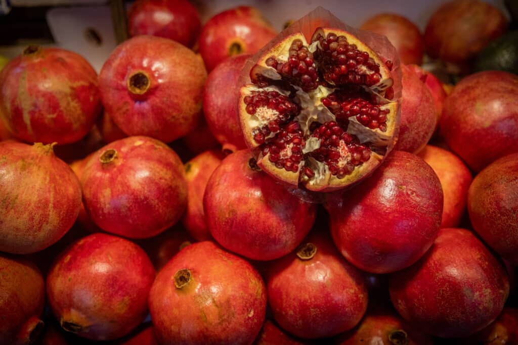 תיעוד: ערב ט"ו בשבט בירושלים: חורפי וגשום