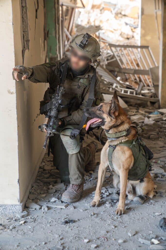 לוחמי חטיבת הצנחנים חיסלו מחבלים רבים בירי צלפים