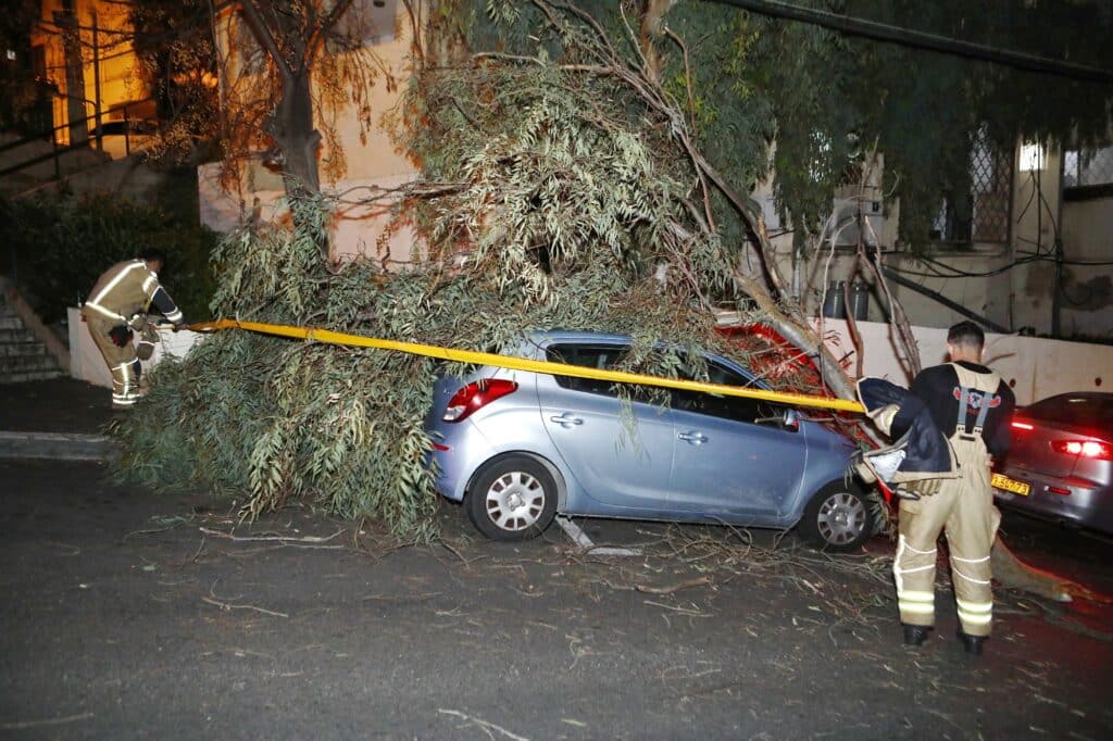 מזג האוויר: עץ קרס על רכב בחיפה