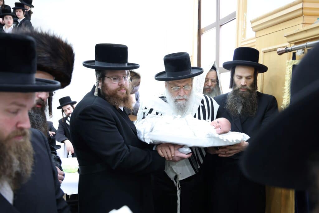 גלריה: שמחת הברית לנין האדמו"ר מערלוי