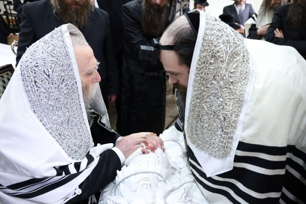 גלריה: שמחת הברית לנין האדמו"ר מערלוי