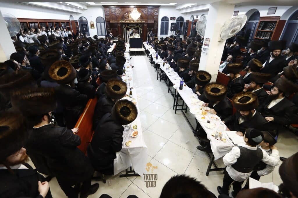 התרגשות בחיפה: רבי מיילך בידרמן בסעודת מלווה מלכה