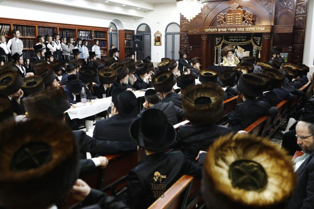 התרגשות בחיפה: רבי מיילך בידרמן בסעודת מלווה מלכה