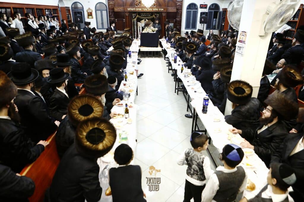 התרגשות בחיפה: רבי מיילך בידרמן בסעודת מלווה מלכה