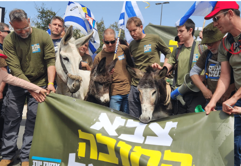 מחאת חוק הגיוס: 'אחים לנשק' צועדים עם חמורים לכנסת