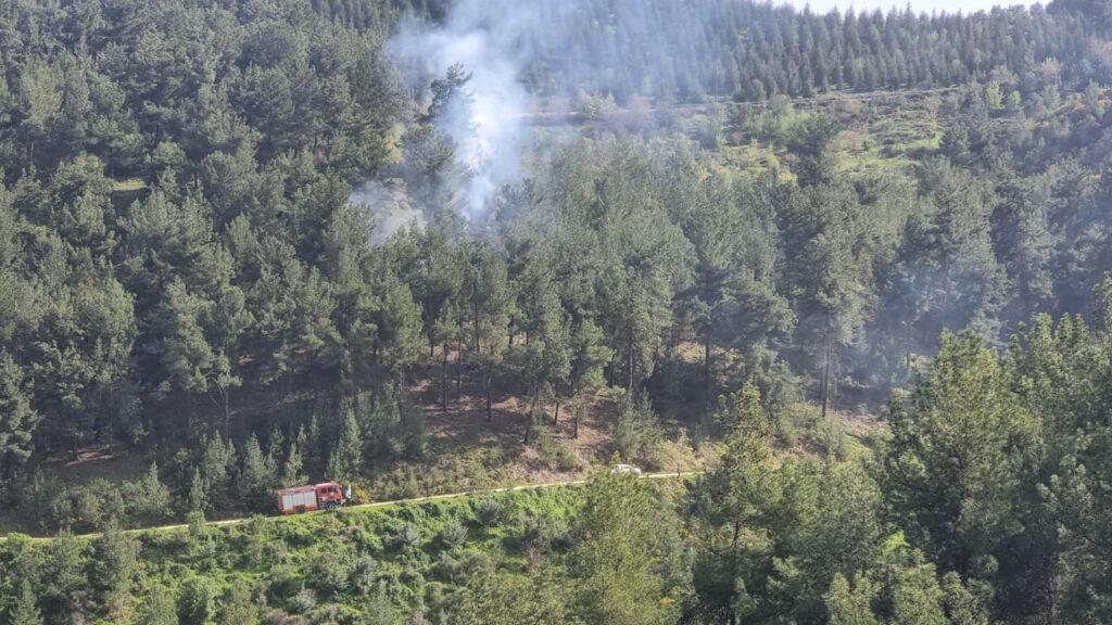 מטרה אווירית שהייתה בדרכה לישראל הופלה בטיל פטריוט