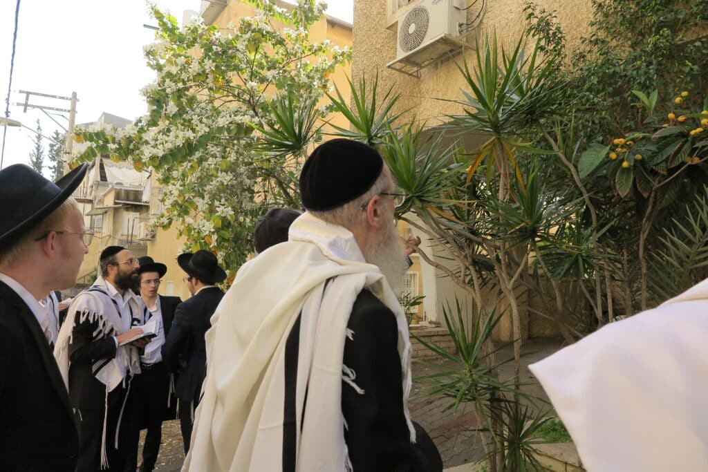 גלריה: ראש הישיבה הגר"י קרפ בברכת האילנות