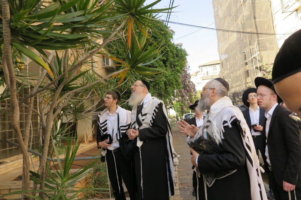 גלריה: ראש הישיבה הגר"י קרפ בברכת האילנות