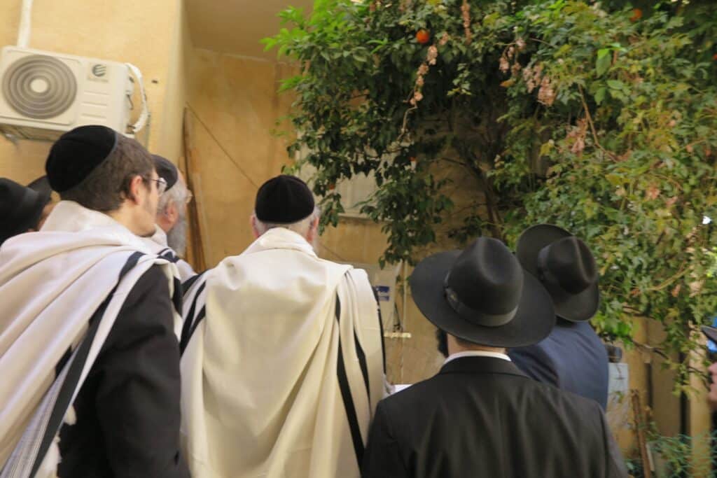 גלריה: ראש הישיבה הגר"י קרפ בברכת האילנות