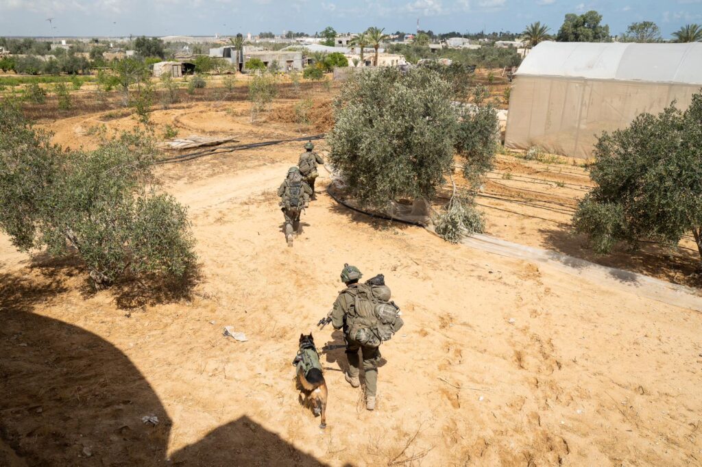 במזרח רפיח ובמעבר: צה"ל השמיד תשתיות טרור ואמל"ח