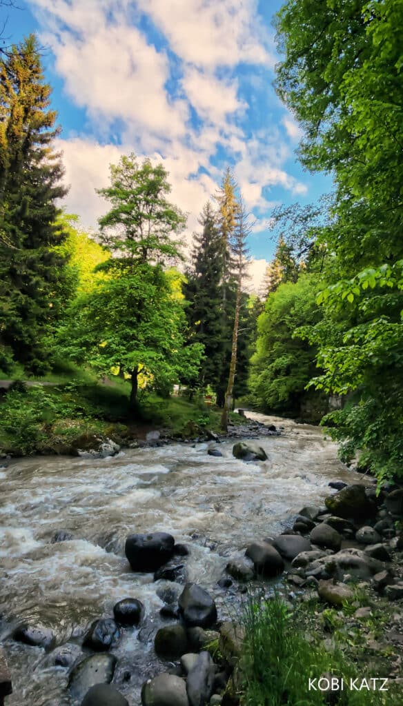 מָה רַבּוּ מַעֲשֶׂיךָ ה': הצלם המוכשר קובי כץ בתיעוד מרהיב מנופיה הקסומים של גאורגיה