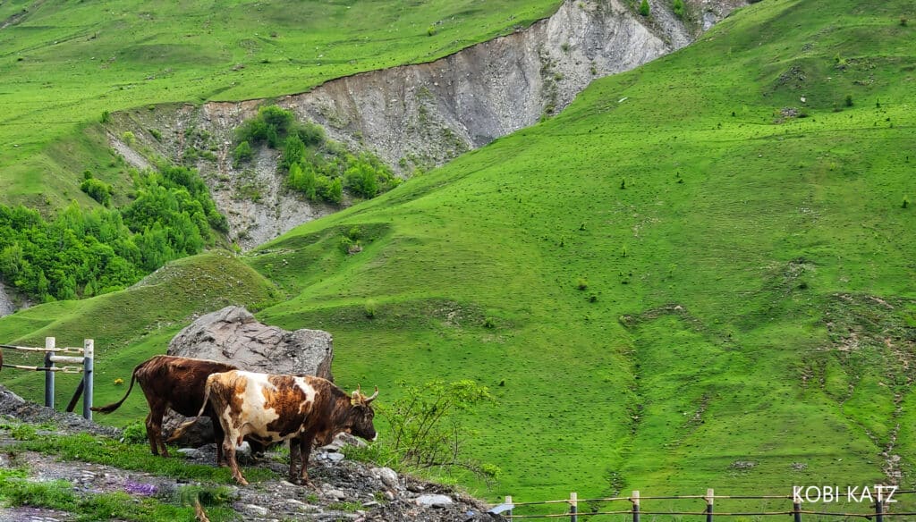 מָה רַבּוּ מַעֲשֶׂיךָ ה': הצלם המוכשר קובי כץ בתיעוד מרהיב מנופיה הקסומים של גאורגיה