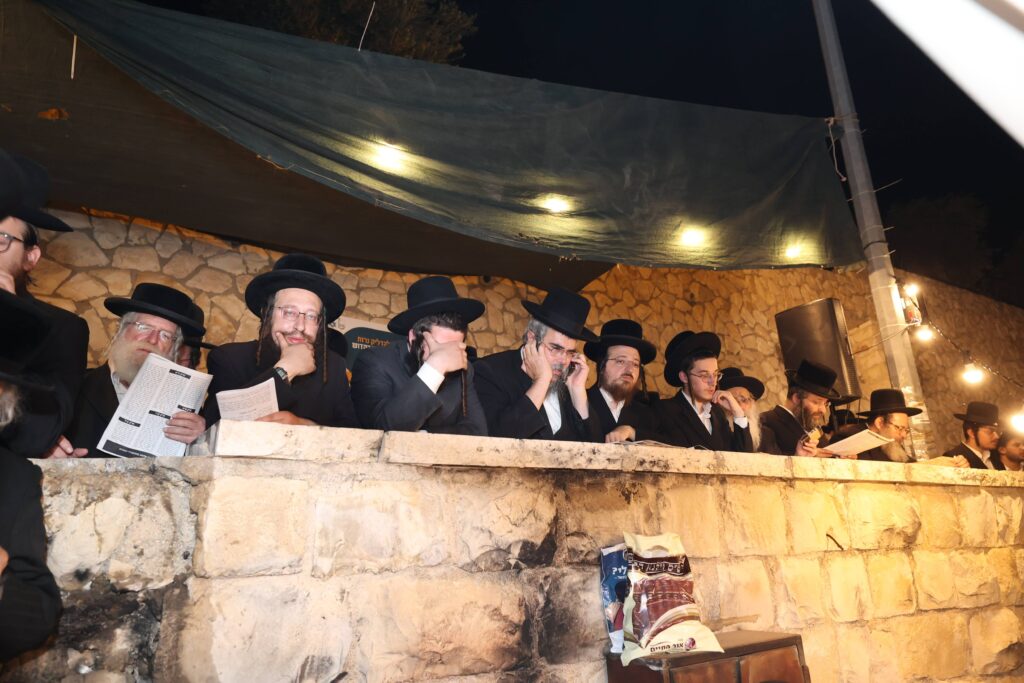 בראשות האדמו"ר: בחסידות ציינו את הילולת הרה"ק מזוועיל