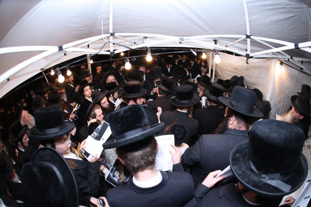 בראשות האדמו"ר: בחסידות ציינו את הילולת הרה"ק מזוועיל