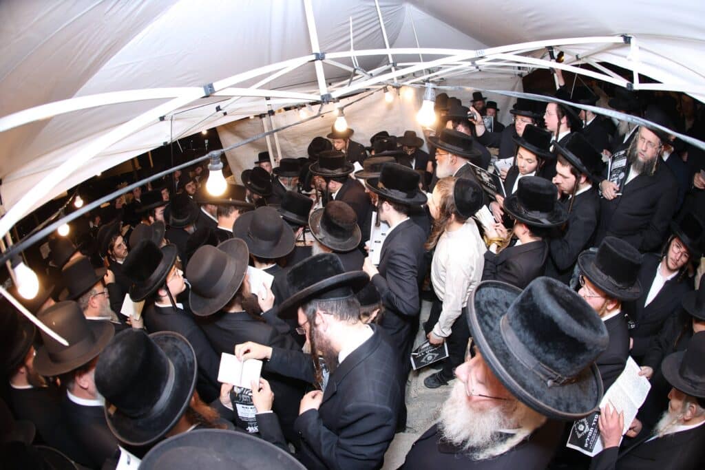 בראשות האדמו"ר: בחסידות ציינו את הילולת הרה"ק מזוועיל