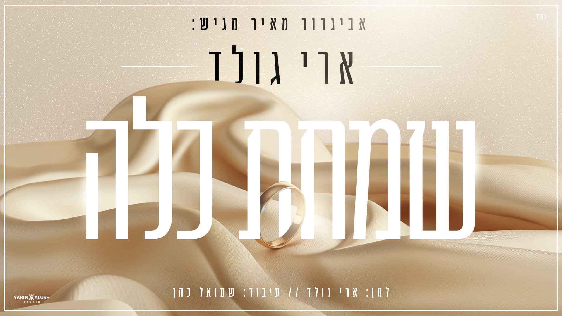 שמח ואלקטרוני > סינגל החתונות החדש של ארי גולד -