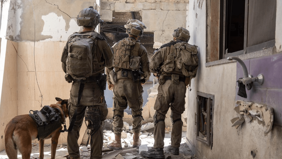 על בסיס מודיעין בלבד: צה"ל פועל ברפיח בצורה מוגבלת וממוקדת