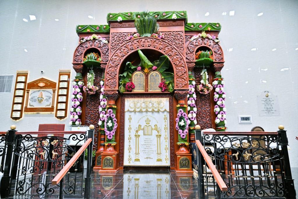 תיעוד ירוק מחג השבועות בחסידות ויז'ניץ