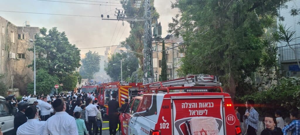 צפו בתיעוד: שריפת ענק משתוללת בחסות עצי הברוש צפו בתיעוד: שריפת ענק משתוללת בחסות עצי הברוש