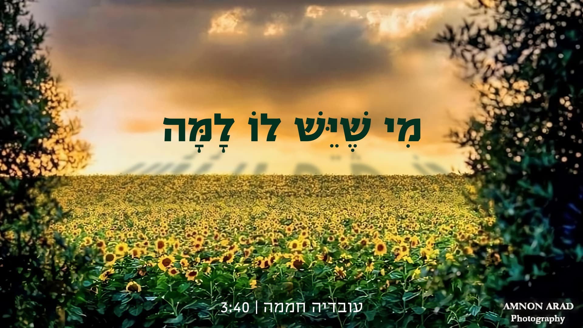 יצירה מרגשת > שיר חדש מבית עובדיה חממה: