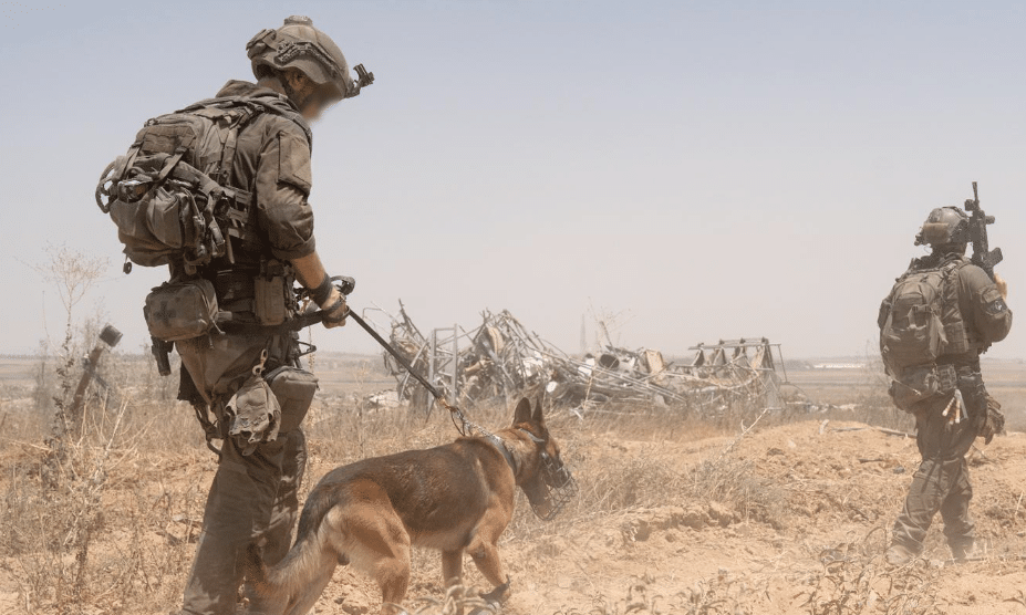 בשג'אעיה וברפיח חוסלו ביממה האחרונה עשרות מחבלים