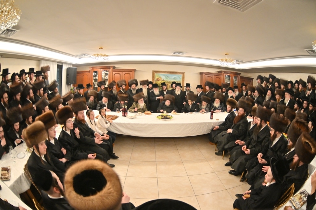 אלע חסידים: שמחת השבע ברכות בבית מרן האדמו"ר מבעלזא