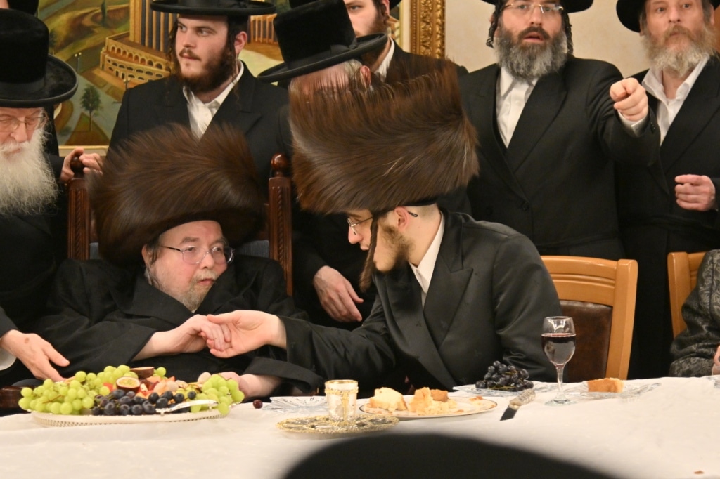 אלע חסידים: שמחת השבע ברכות בבית מרן האדמו"ר מבעלזא