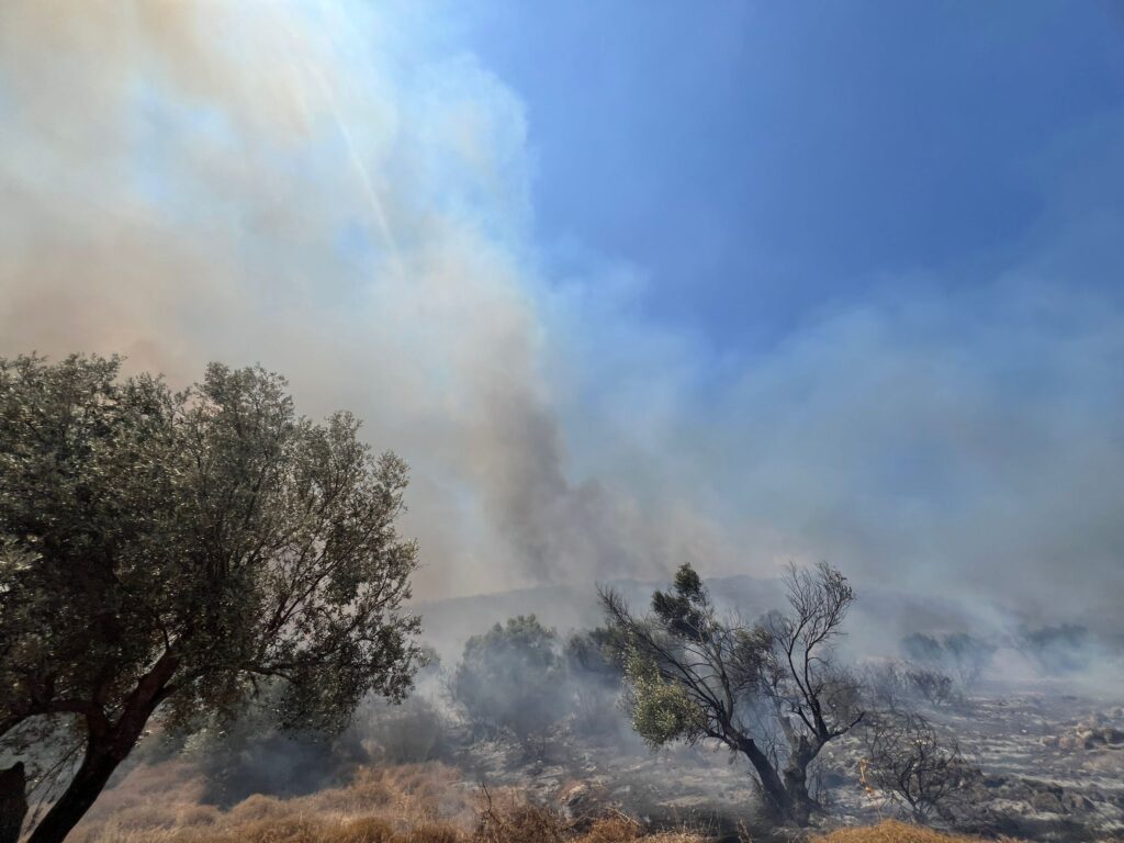 בעקבות המטח: הארבל ויערות הגליל בוערים