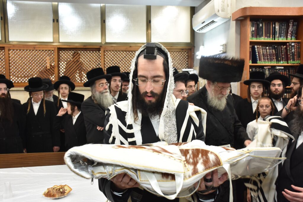 כשם שנכנס: שמחת הברית בחצרות נאראל-שאץ ויזניץ