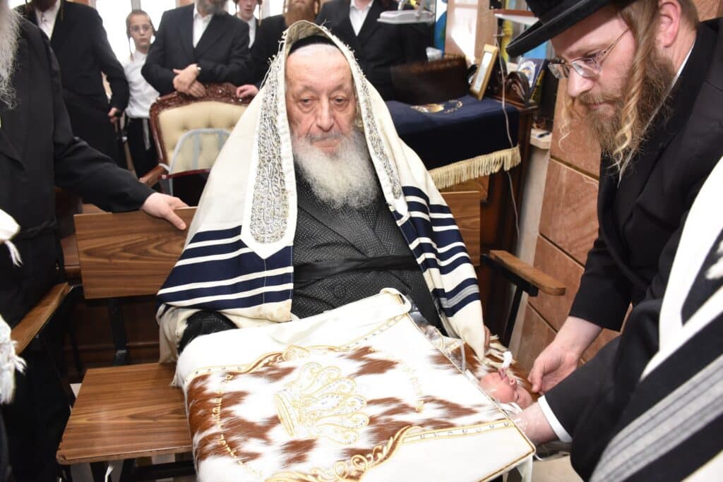 כשם שנכנס: שמחת הברית בחצרות נאראל-שאץ ויזניץ