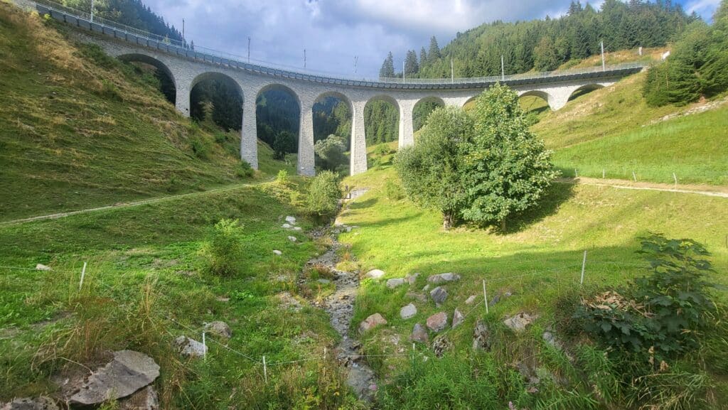 חרף האתגרים העצומים בעידן המלחמה: עשרות חולי C.F שבו מהשתתפות במחנה של 'חיים לילד' בשוויץ 