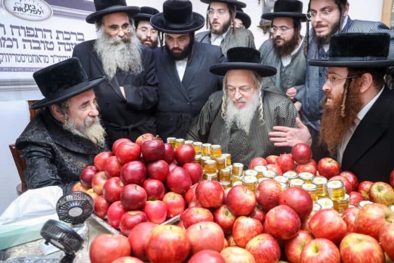 הרבי מרחמסטריווקא בירך את התפוחים והדבש