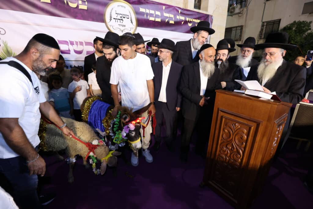 האדמו"ר פדה את החמור לעיני ההמונים