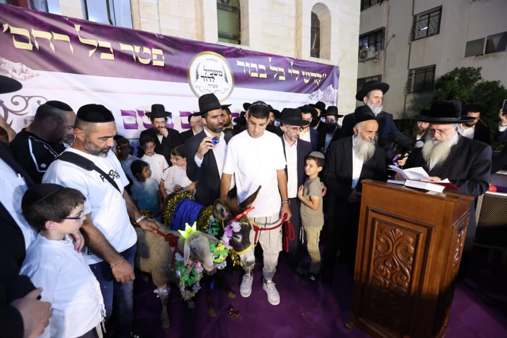 האדמו"ר פדה את החמור לעיני ההמונים