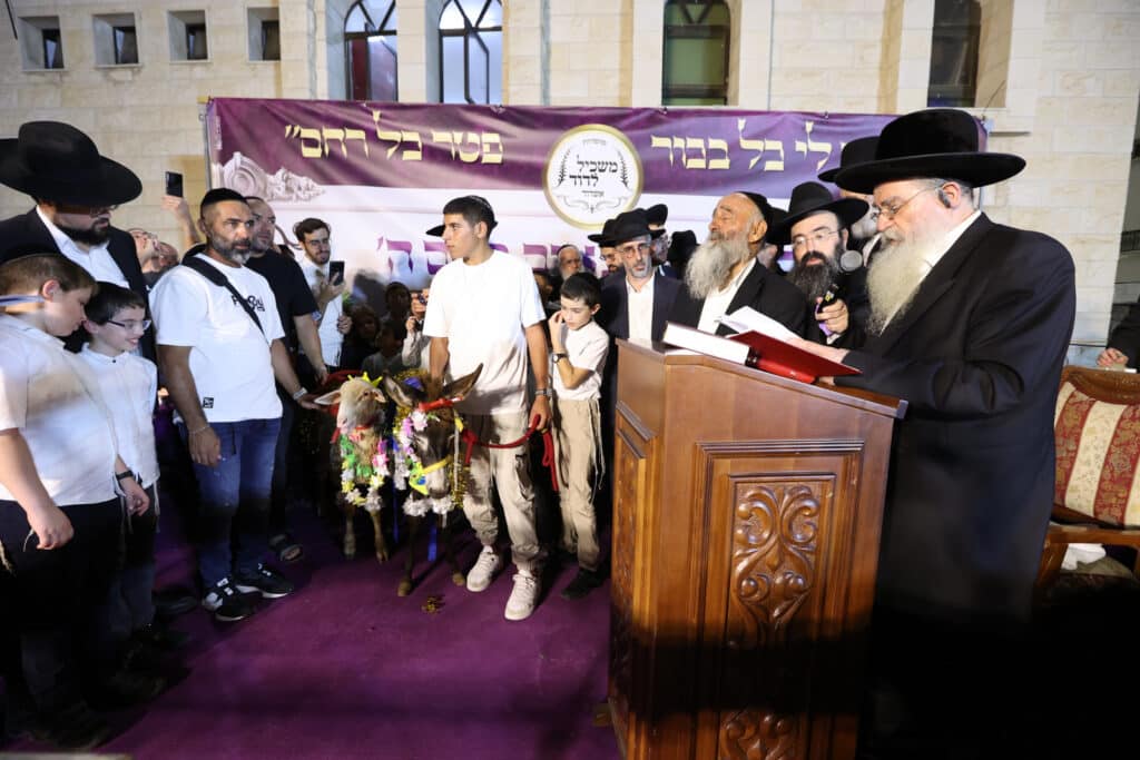 האדמו"ר פדה את החמור לעיני ההמונים