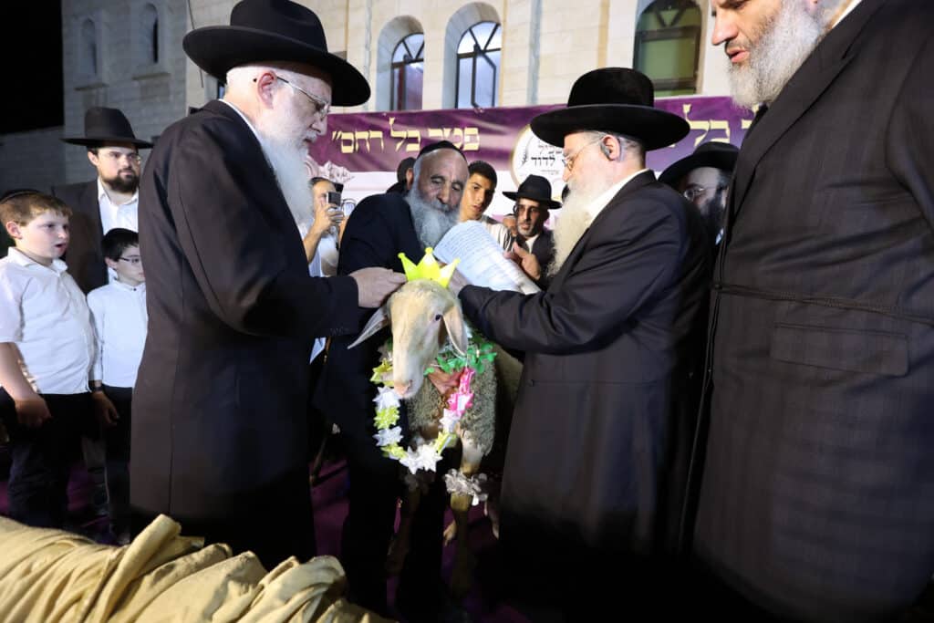 האדמו"ר פדה את החמור לעיני ההמונים